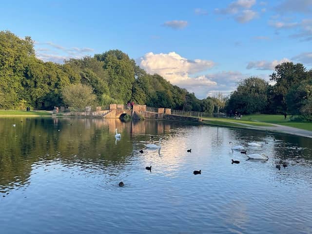 Verulamium Park - Image 2