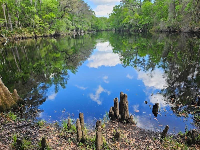 River Rise Preserve State Park - Image 1