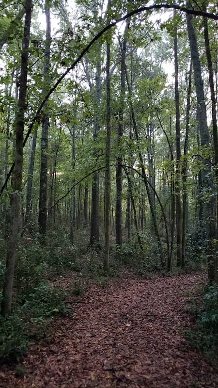 Nonie Needham Nature Trail - Image 1