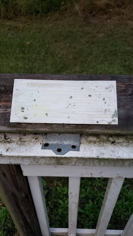 Nonie Needham Nature Trail - Image 2