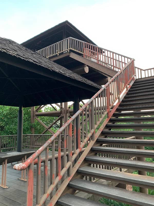 The Lookout Tower - Image 2
