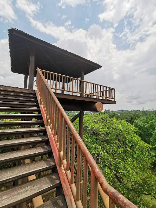 The Lookout Tower - Image 1
