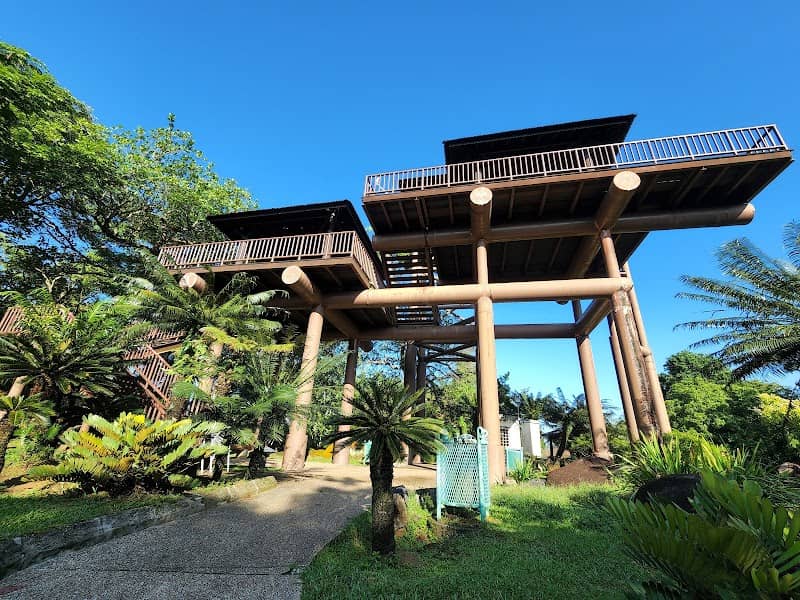 The Lookout Tower - Image 3