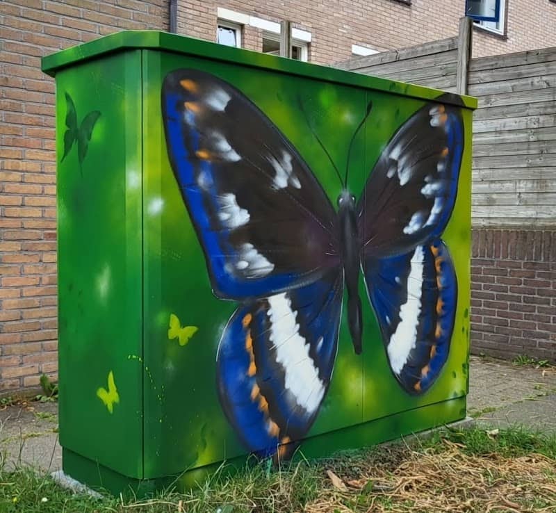 Graffiti Muurschildering Dahlia Vlinder - Image 1