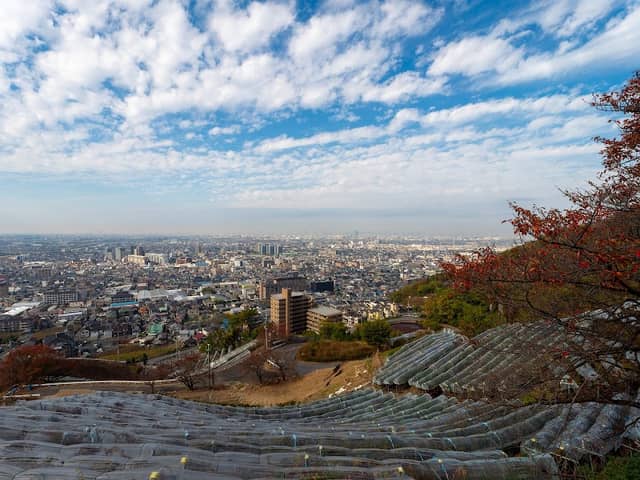 葡萄坂 - Image 2