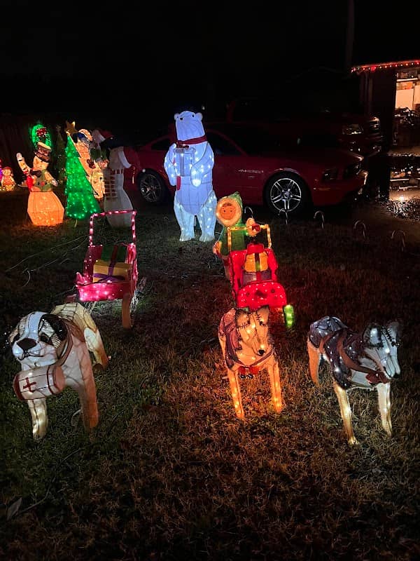 Peck Family Christmas Lights - Image 1