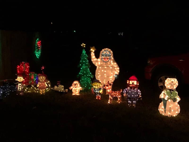 Peck Family Christmas Lights - Image 2