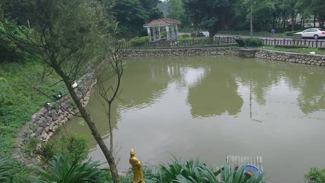四維里荷花池 - Image 1