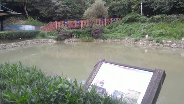 四維里荷花池 - Image 2