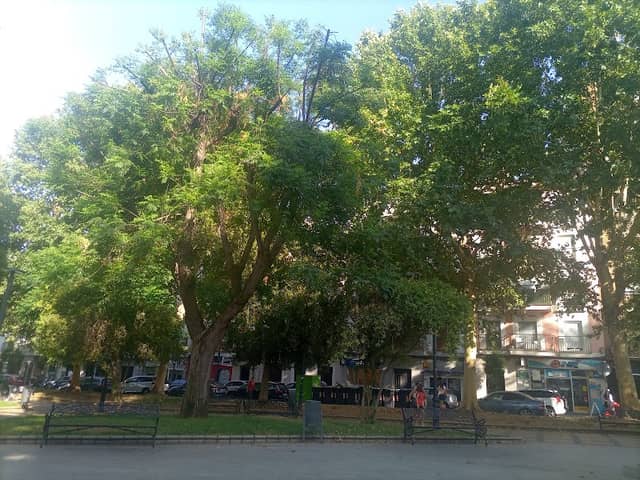 López de Ayala Park - Image 1
