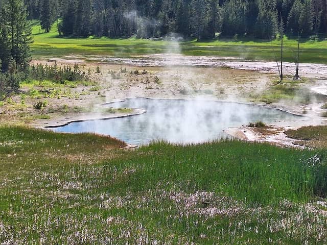 Bijah Spring - Image 2
