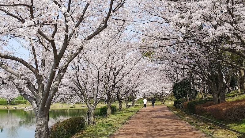 Kayoicho Park - Image 2