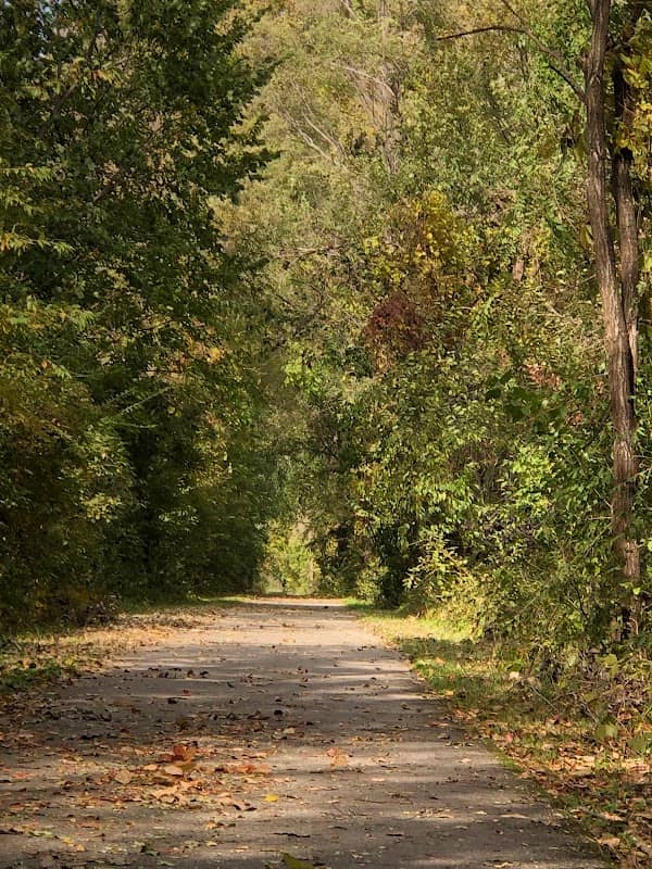 Carney Marsh, Polk County Conservation Board - Image 1