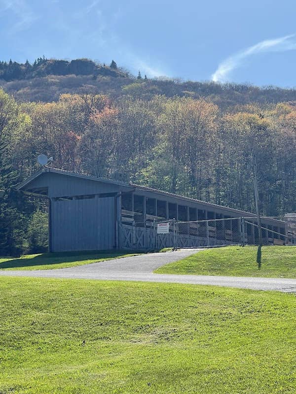 Chestnut Hollow Campground - Image 2