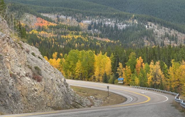 Elbow River Lookout - Image 3