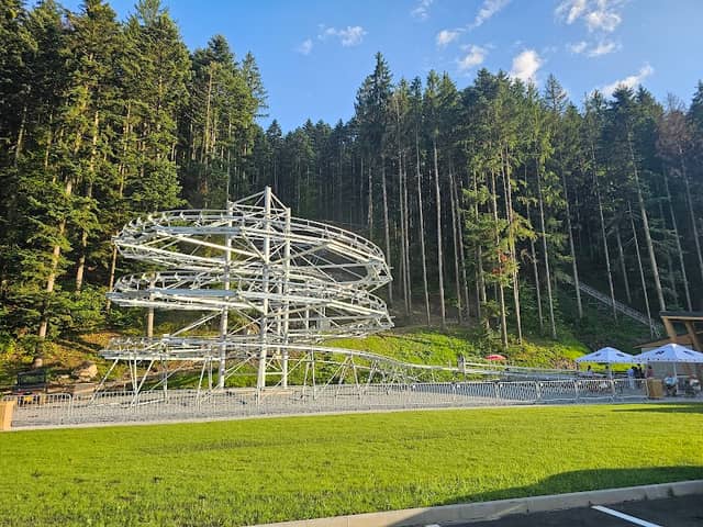 Forest Coaster - Image 1