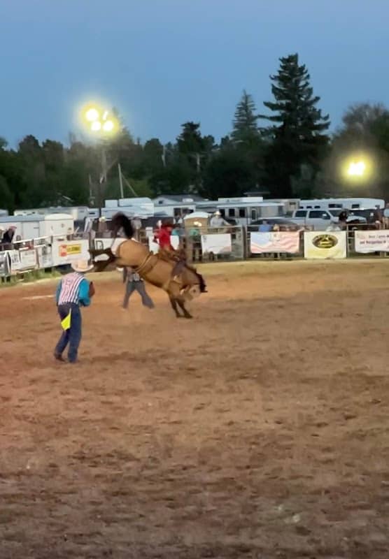 Cowboy Up in Kiowa - Image 1