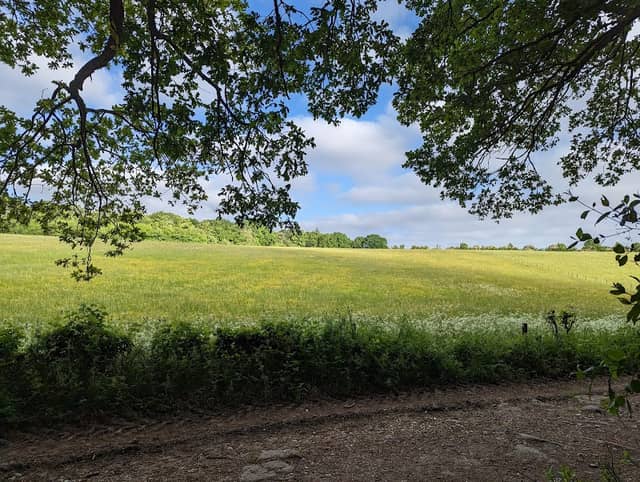Norbury Park - Image 2