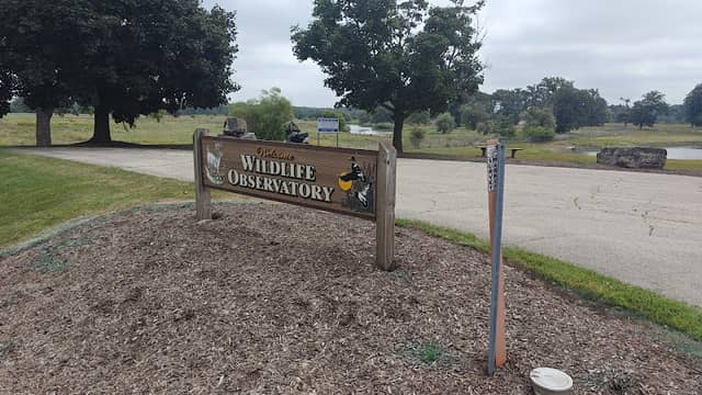 Wild Life Observatory - Image 1