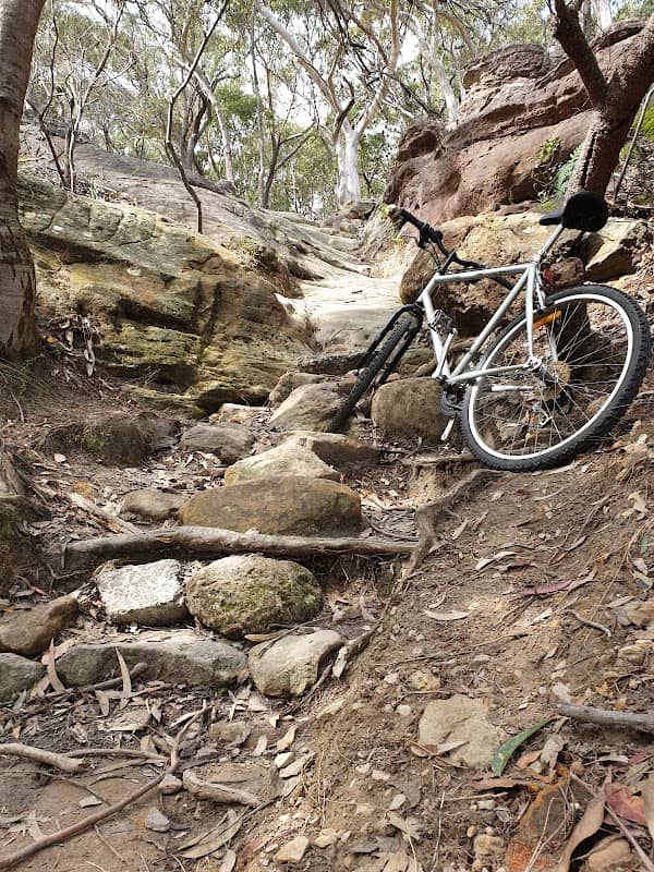 Forestville Park - Image 2