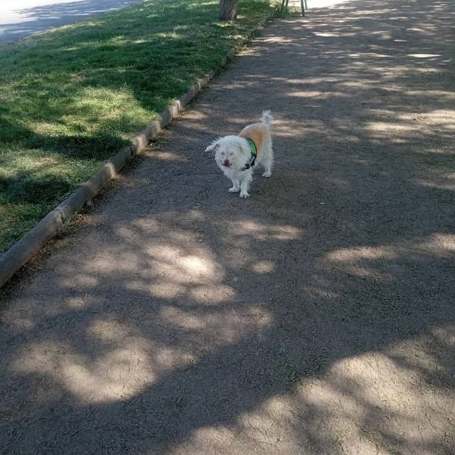 María vidal Park - Image 1