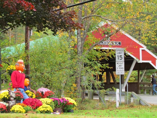 Jackson NH - Pumpkin People - Image 1