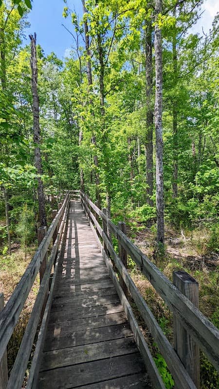NeSmith Preserve - Starr's Mill Environmental Trail & Boardwalk - Image 1