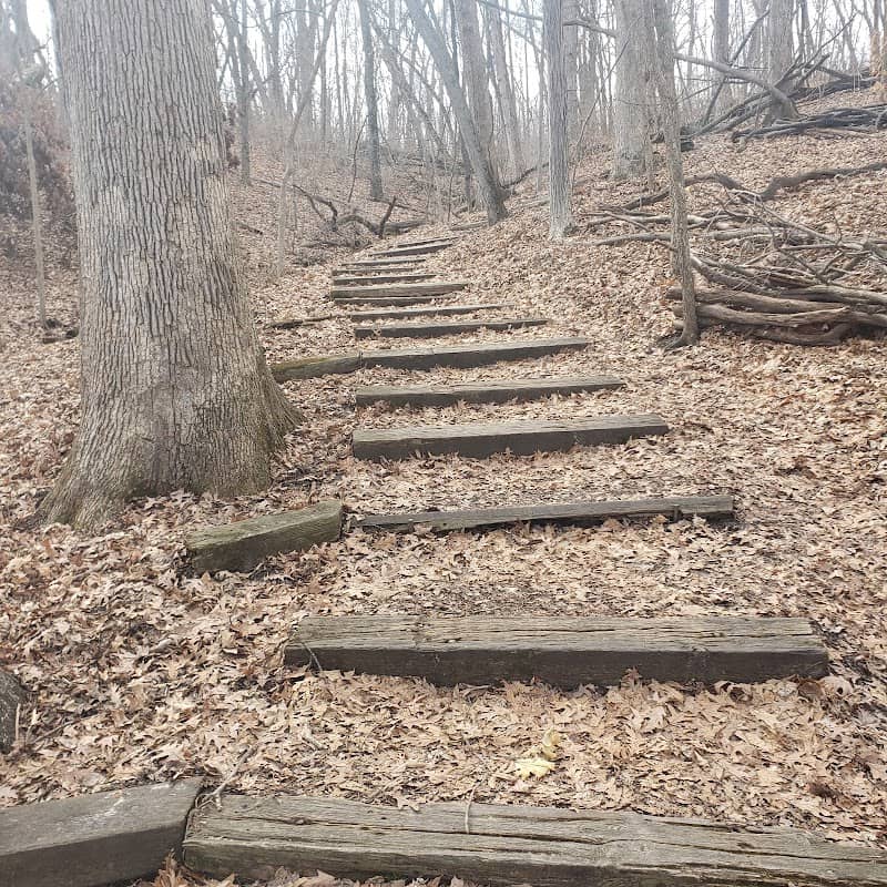 Ryerson's Woods State Preserve - Image 1