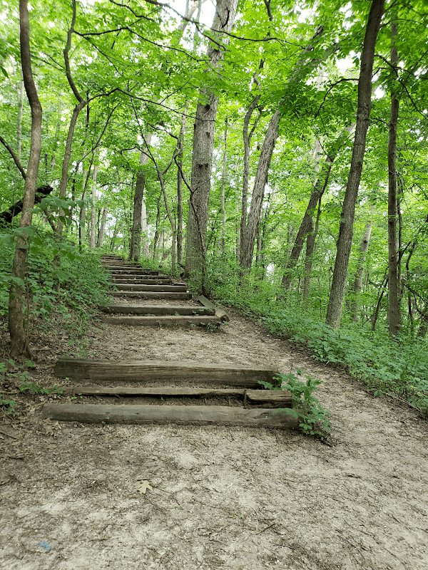 Ryerson's Woods State Preserve - Image 2