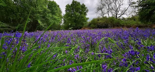 Keephatch Meadows - Image 1