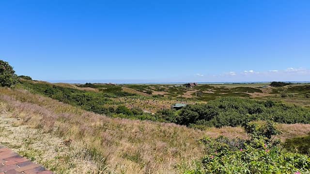 Bienenbelegstelle Langeoog - Image 1
