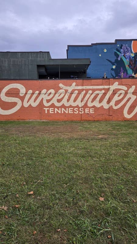 Sweetwater TN mural - Image 1
