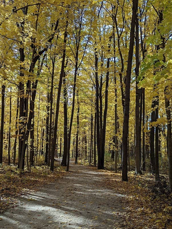 Captain Daniel Wright Woods Forest Preserve - Image 1