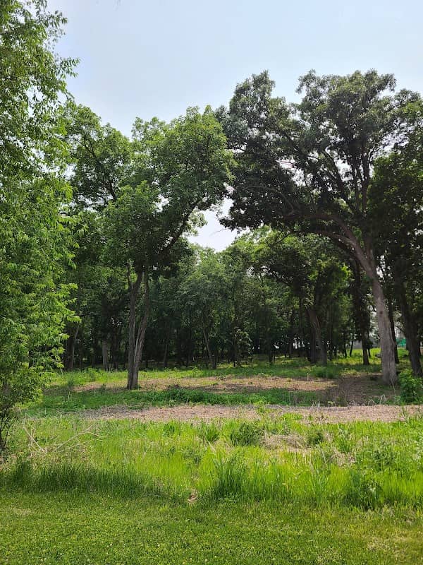 S. Johnson Park - Image 1