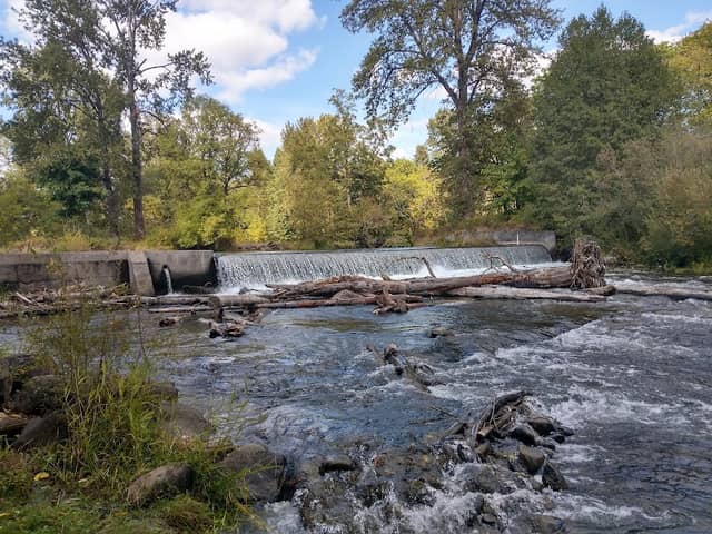 Stayton Riverfront Park - Image 2