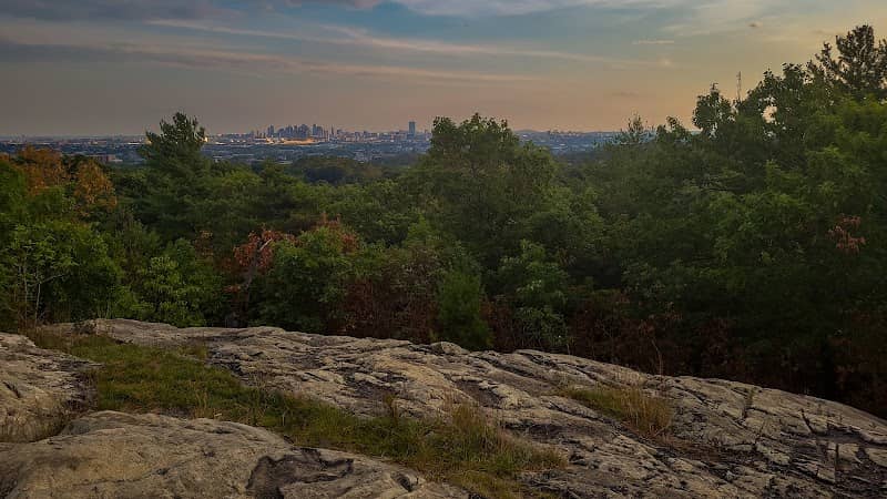 Boston Viewpoint - Image 2