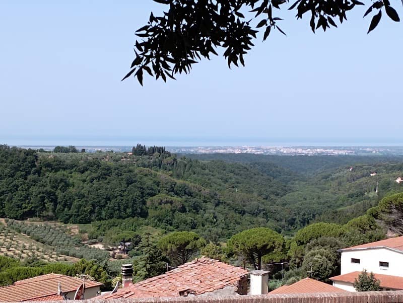 Montescudaio PI - Image 1