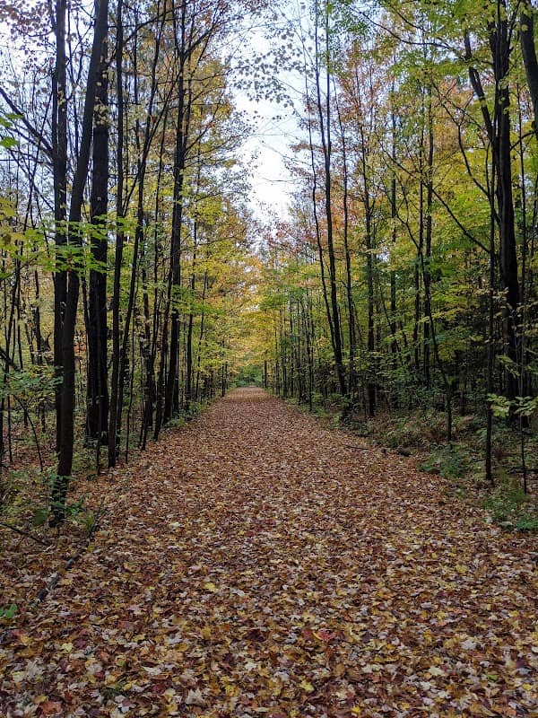 Erbach Park - Image 1