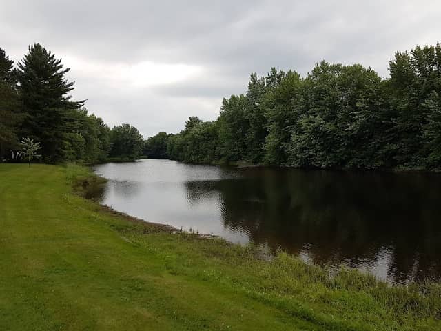 Erbach Park - Image 2