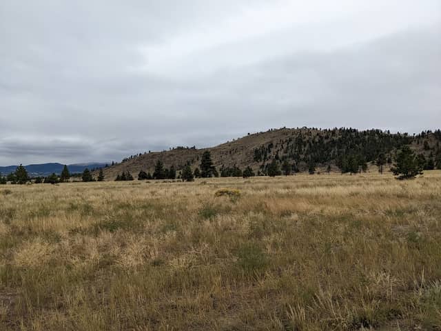 Norris Road Trailhead - Image 1