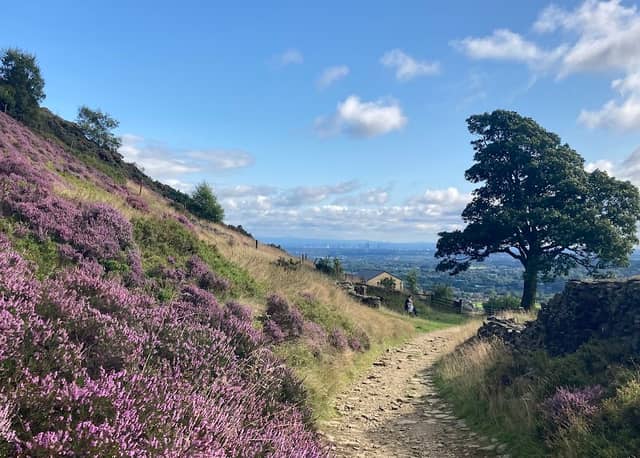 Holcombe Moor - Image 2