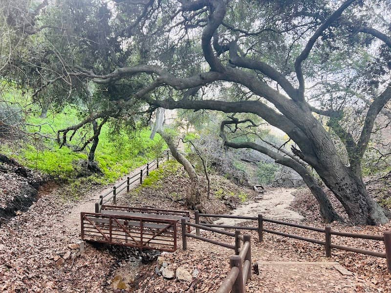 Steep Canyon Trail - Image 1