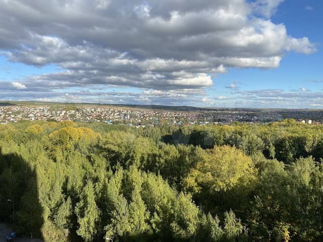 Noksinskiy Les - Image 1