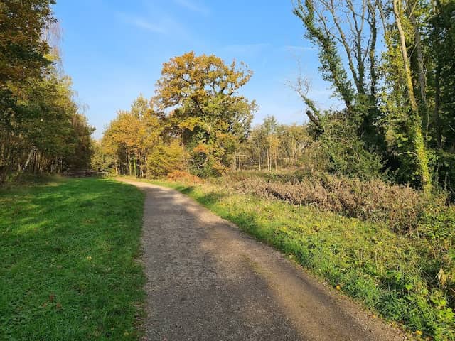 Warley Country Park - Image 1