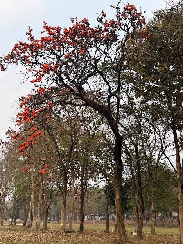 Buddha - Image 1