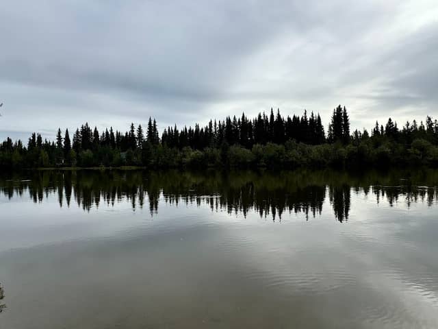 Chena Kiwanis Park - Image 1
