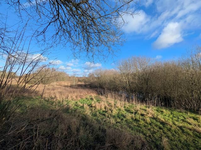 Shipley Meadows viewing point - Image 2