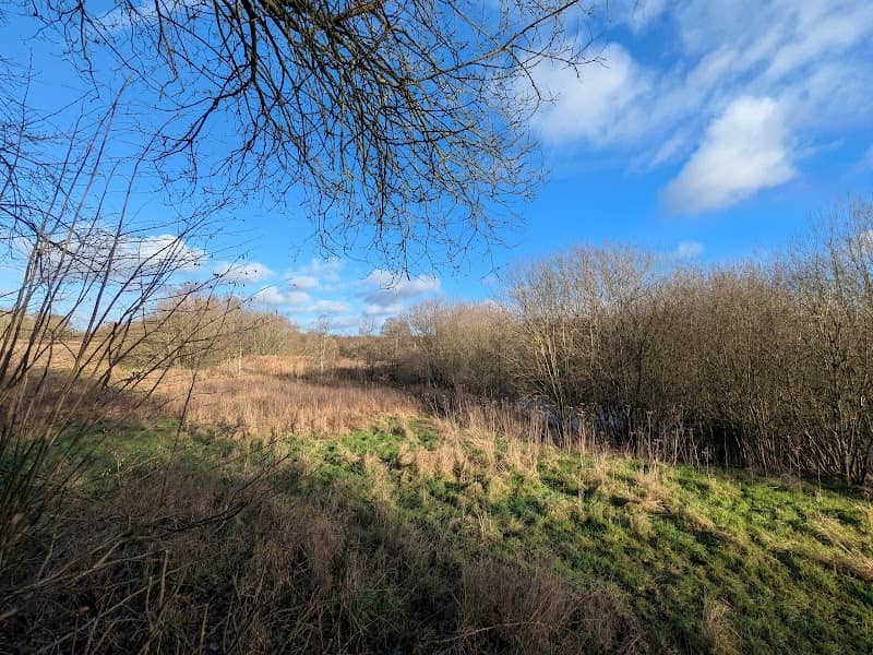 Shipley Meadows viewing point - Image 2