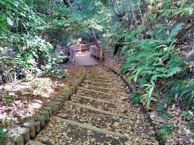 じょうすいこばし(上水小橋) - Image 1