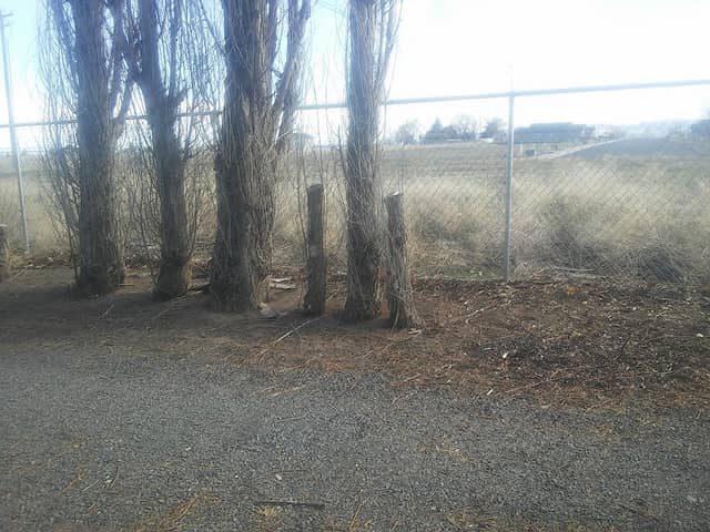 Mountain View RV Park - Image 2